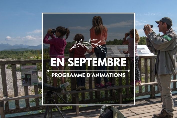 Les animations de Septembre