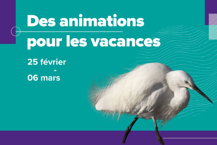 Vacances d'hiver : des animations en avant-première !